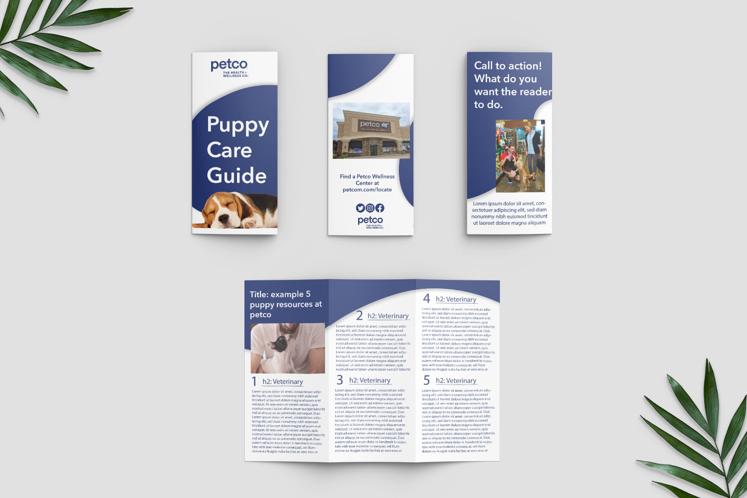 An Example of a professional brochure using freeform shapes to add interest. 